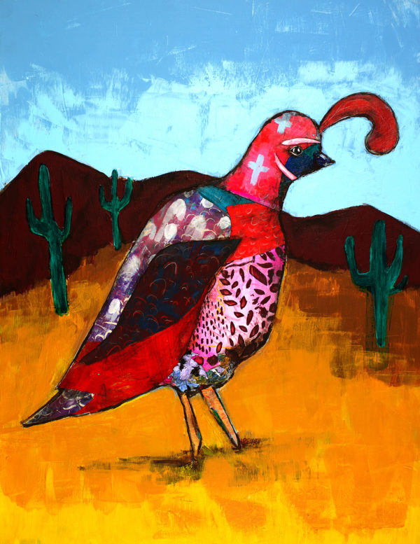 Gamble's Quail 5