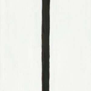 Aim True Arrow 22